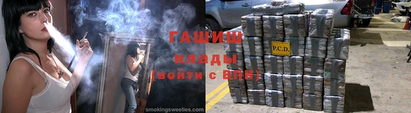 прущие грибы Алзамай