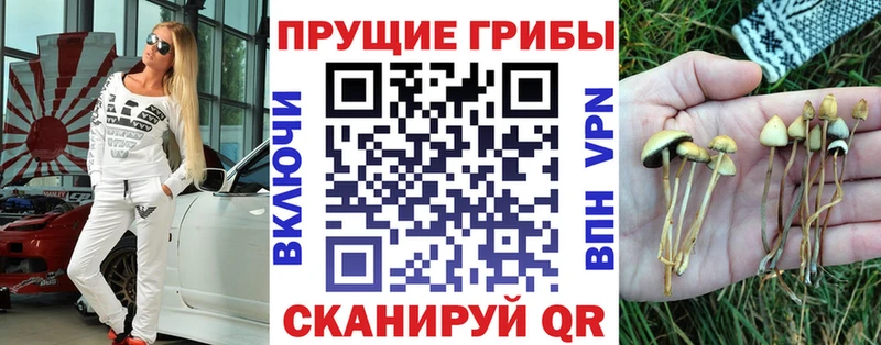 Галлюциногенные грибы GOLDEN TEACHER  закладки  Ардатов 